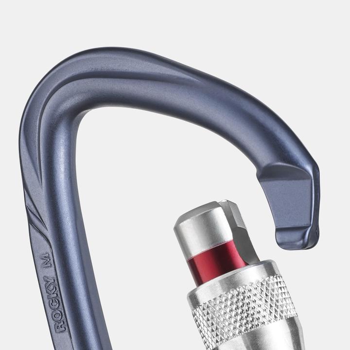 Actual product image Simond Snap hook D-shape aluminium screw lock