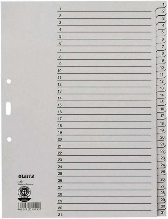 Actual product image Leitz Folder index 1231 full format, extra width 1-31 grey 31-piece, 10 sets