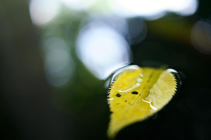 Immagine prodotto Tamron SP 35mm F/2.8 Di III OSD M1:2, Sony E (Sony E, Full frame)