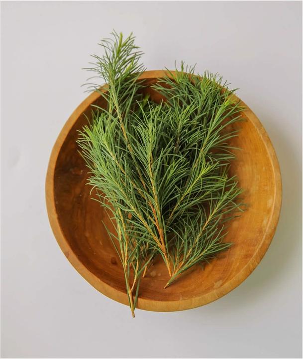 Actual product image Aromatica Tea Tree Balancing Foaming Cleanser (Cleansing Foam)
