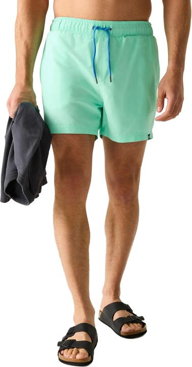 Produktbild Regatta Mawson II Kurze Hose (L)