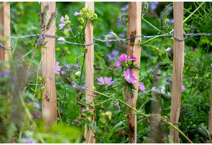 Actual product image Dobar Picket fence hazelnut 90x500cm