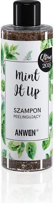 Produktbild Anwen Mint It Up Hair Scrub Shampoo (200 ml, Flüssiges Shampoo)
