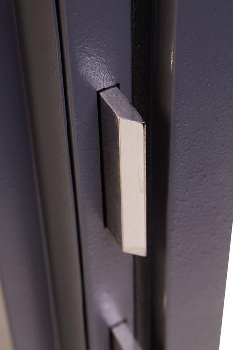 Actual product image Phoenix Safe HS3553E Elara (110 l)