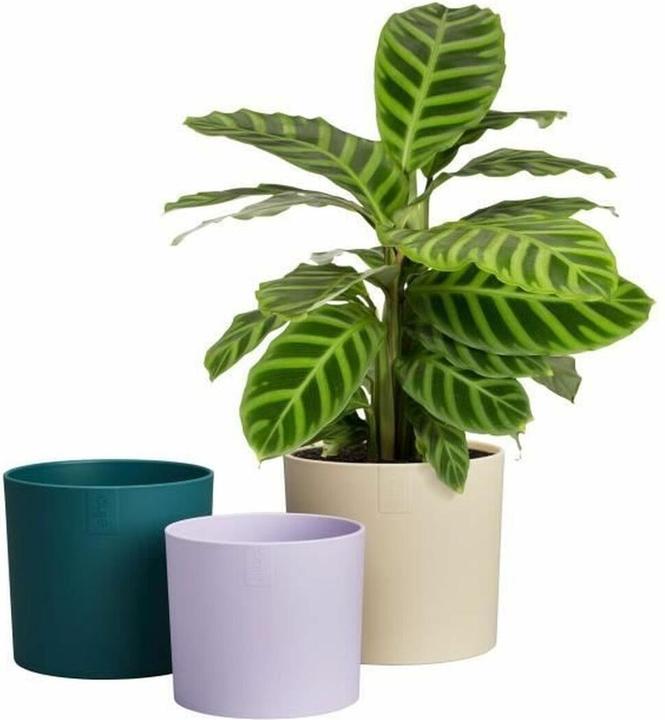 Produktbild Elho Lex Pott Set (12 x 12.40 cm)