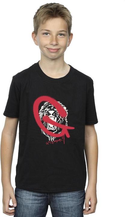 Produktbild Gryffindor Pop Spray TShirt Jungen