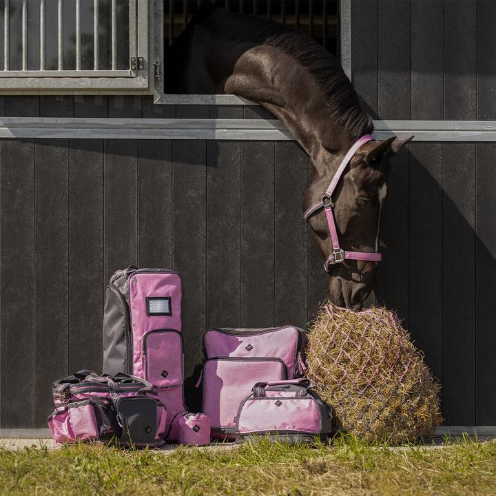 Image du produit Qhp Ensemble licol et longe pour cheval