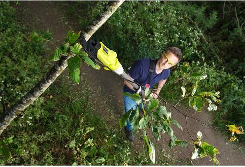 Image du produit Ryobi Sécateur élagueur télescopique sans fil