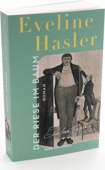 Actual product image Der Riese im Baum (German, Eveline Hasler, 2023)