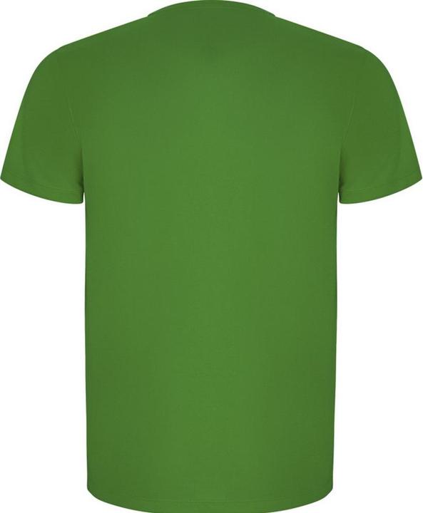 Immagine prodotto Alpinia Imola Maglietta Sportiva Maniche Corte Bambini (104)