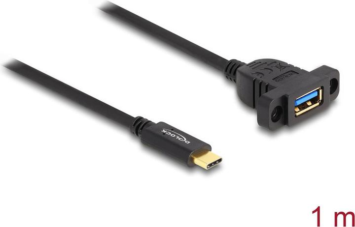 Delock SuperSpeed USB 10 Gbps 1m per l'installazione nero (1 m, USB 3.2 Gen 2)