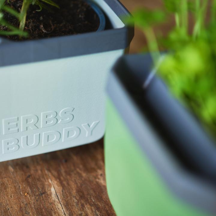 Actual product image Gusta Garden Herbs Buddy (16 x 16.30 x 14.50 cm)