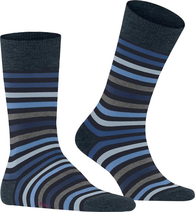 Actual product image Falke Tinted Stripe SO (Single pack, 47 - 50)