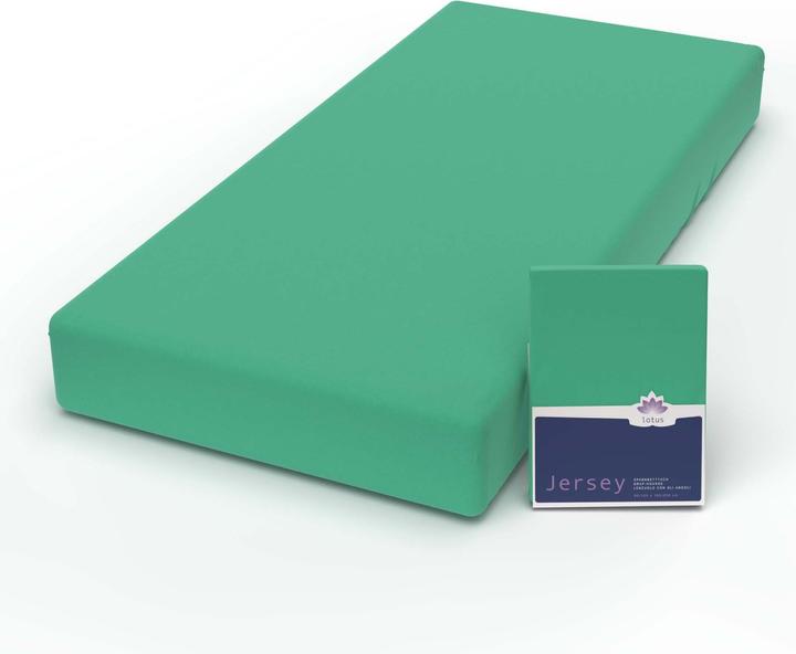 Actual product image Lotus Bettwaren Jersey Fix Comfort (140-160 x 200 cm)