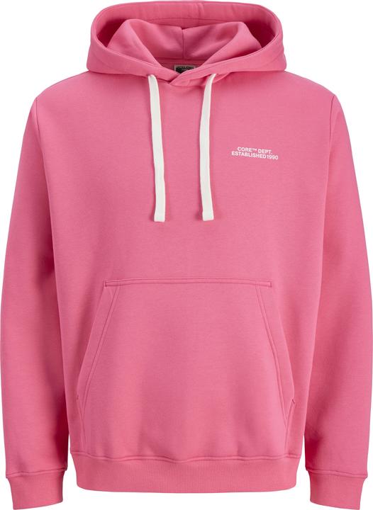 Produktbild Jack & Jones Jcocover Graphic Hood Ln (L)