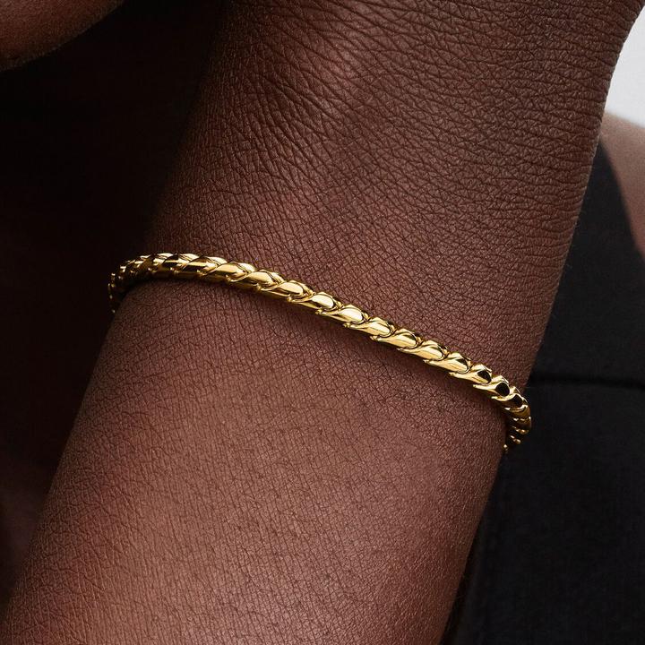 Actual product image Pandora Round Clasp Wing Chain Bracelet (18 cm, Metal, Gold plated)