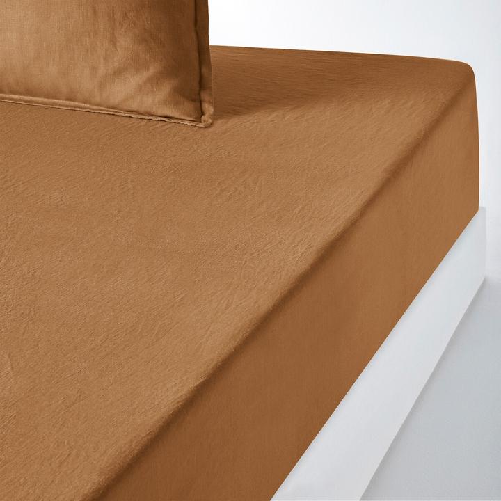 Butterscotch