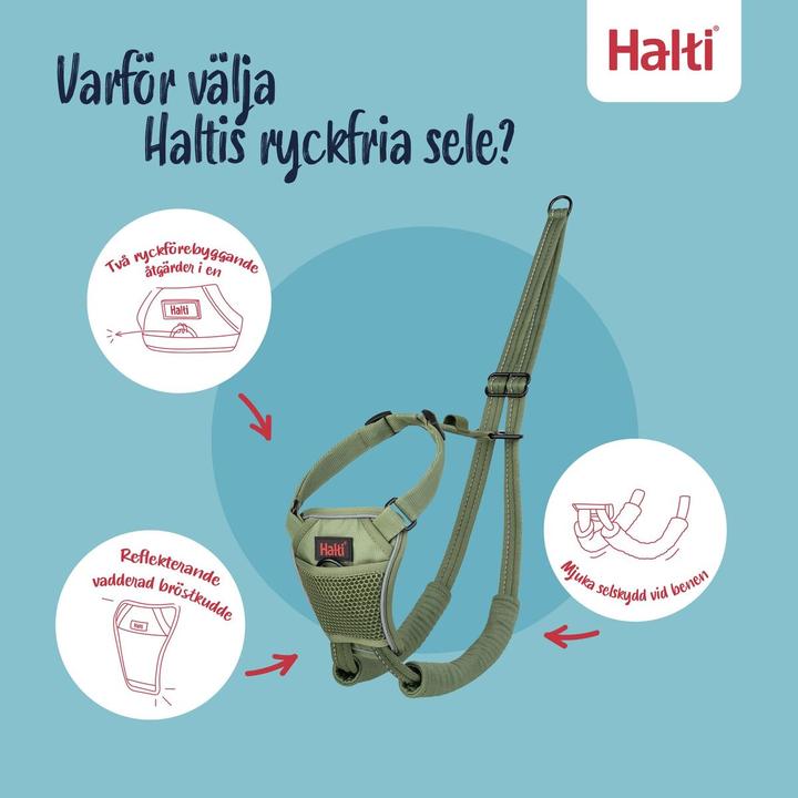 Actual product image Halti No Pull Harness Forest Green Small (Dog, General, Walks)