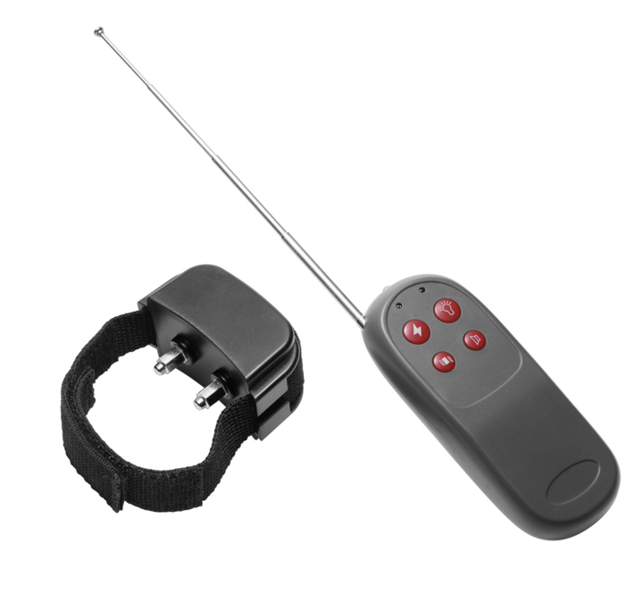 Master Series Cock Shock Remote (2.70 cm)