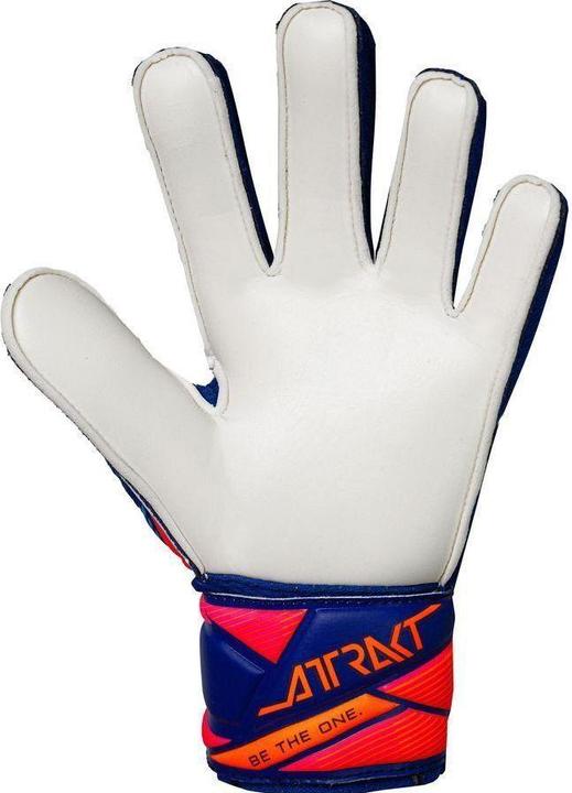 Produktbild Reusch Attrakt Solid (7.5)