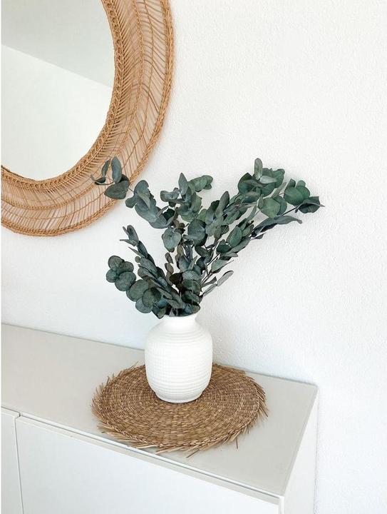 Immagine prodotto Soli Collection Fiori secchi Eucalyptus 40-55 cm (Fiori secchi)