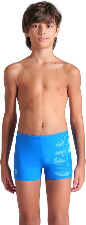 Actual product image Arena B Tales Swim Short (164)