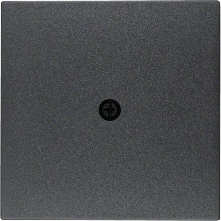 Produktbild Berker Zentralstück