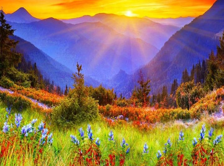 Actual product image Pracht Diamond Painting 6037-40291 Sunrise 25 x 35 cm