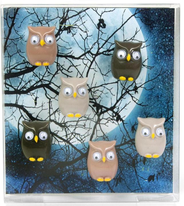 Produktbild Trendform Owl (6x)