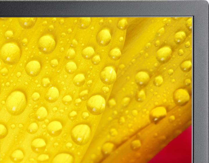 Produktbild Sharp M501-2 50IN UHD 500CD/QM (3840 x 2160 Pixel, 50")