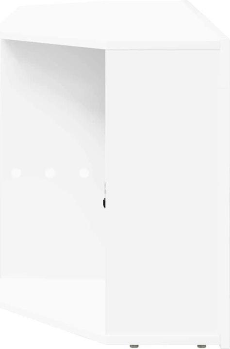 Actual product image vidaXL TV-Schränk (40 x 100 x 50 cm)