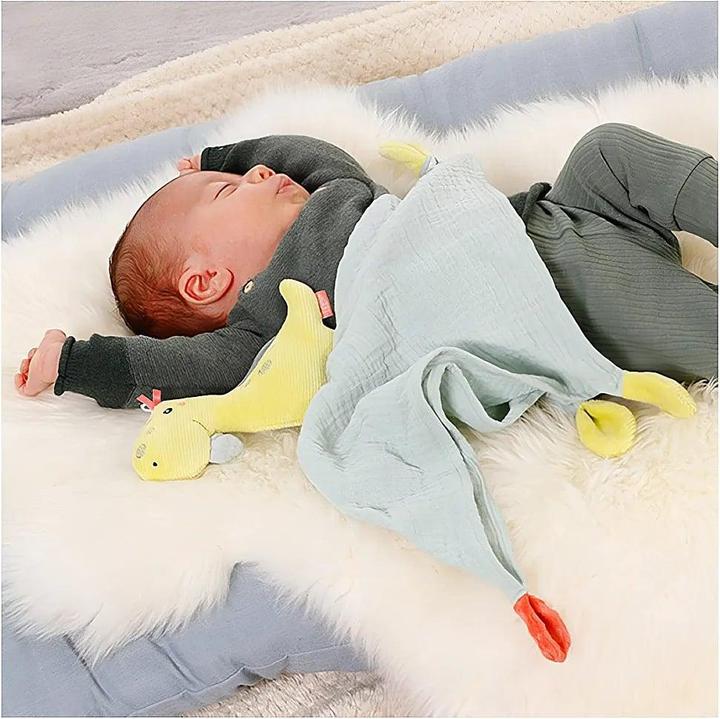 Image du produit Fehn Doudou Dino