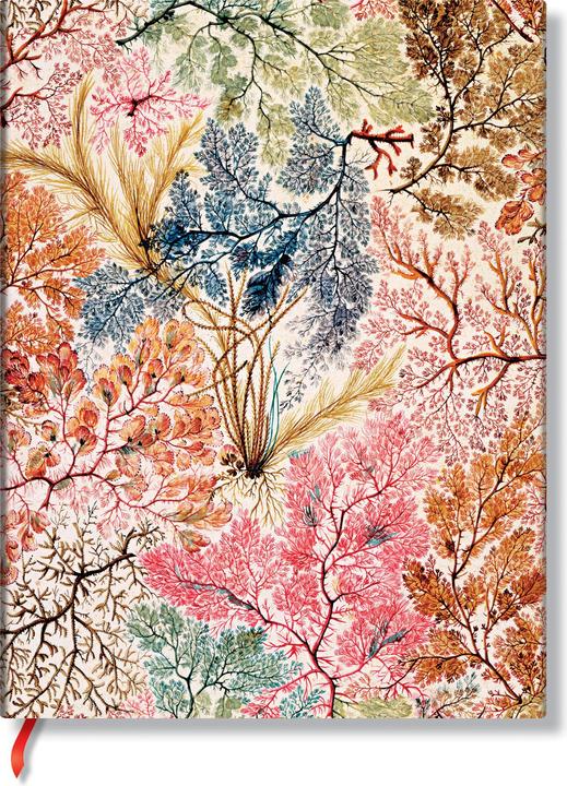 Produktbild Paperblanks Notizbuch Flexis William Kilburn (Mini, Liniert)