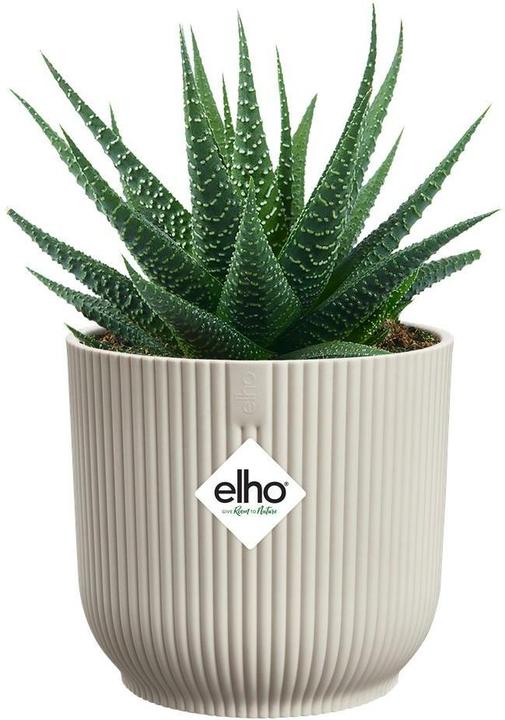 Actual product image Elho Pflanzengefäss Vibes fold mini ø 7 cm (7 x 7 cm)