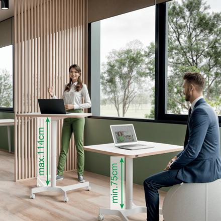 Produktbild Leitz Ergo Compact Workstation Höhenverstellbarer Schreibtisch (80 x 60 x 75 cm)