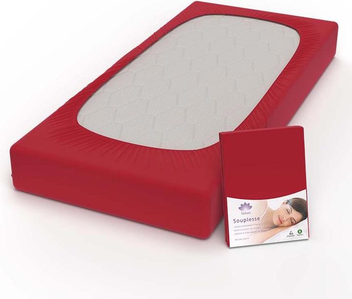 Actual product image Lotus Bettwaren Jersey fitted sheet Souplesse (200 x 220 cm)