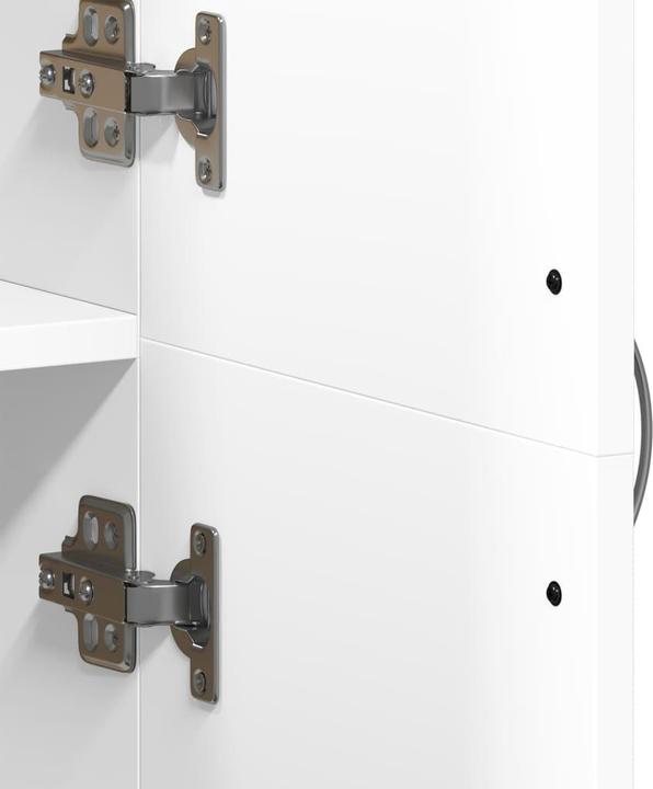 Image du produit vidaXL Aktenschrank (32 x 60 x 153 cm)