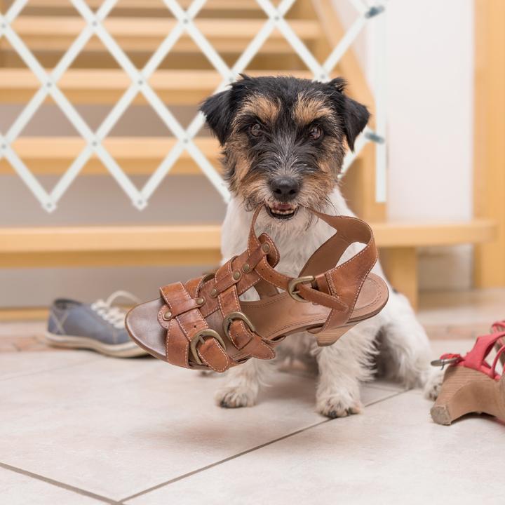 Immagine prodotto Relaxdays Barriera per cani (3 cm)