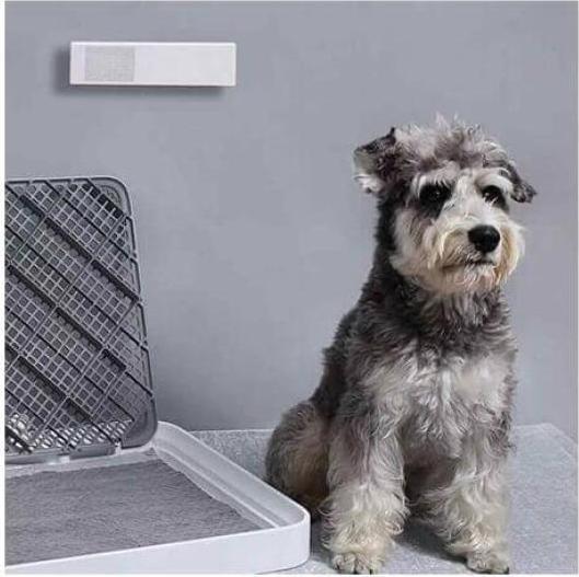 Produktbild Petkit Pura Air Smart Odor Eliminator (Hund, Katze)