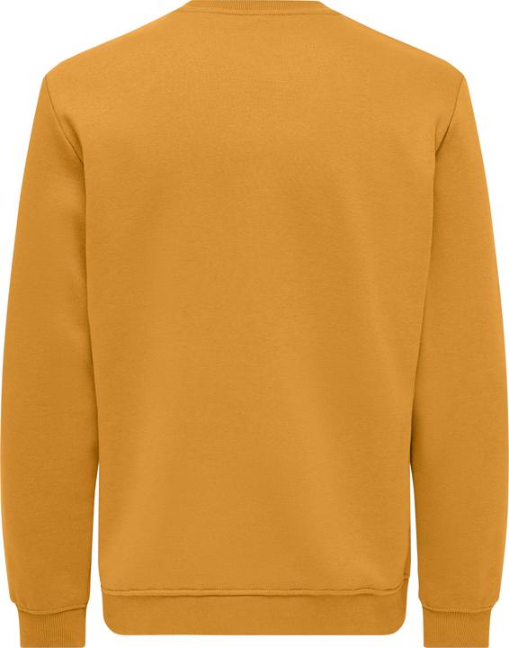 Produktbild Only & Sons Onsconnor Reg Crew Neck Sweat Noos (L)