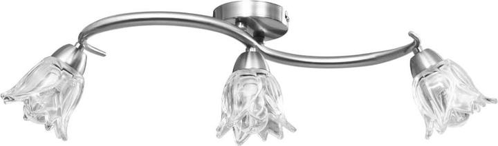 Image du produit vidaXL Carrissa (E14)