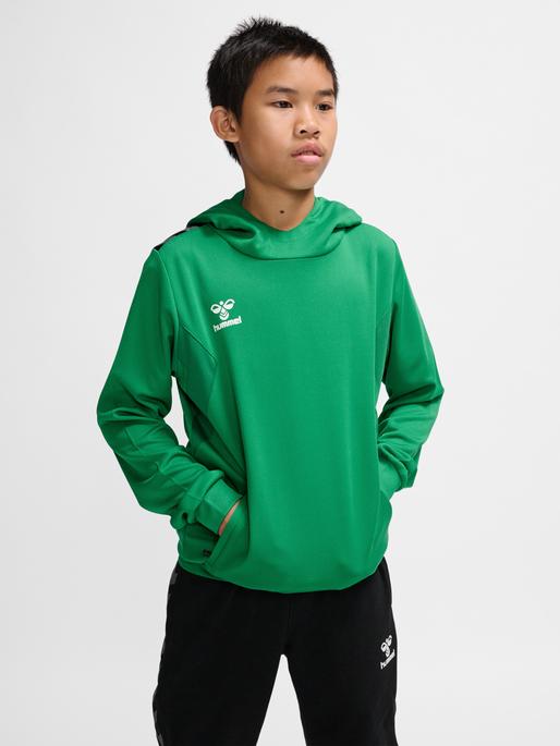 Produktbild hummel Hmlauthentic Pl Hoodie Kids (152)