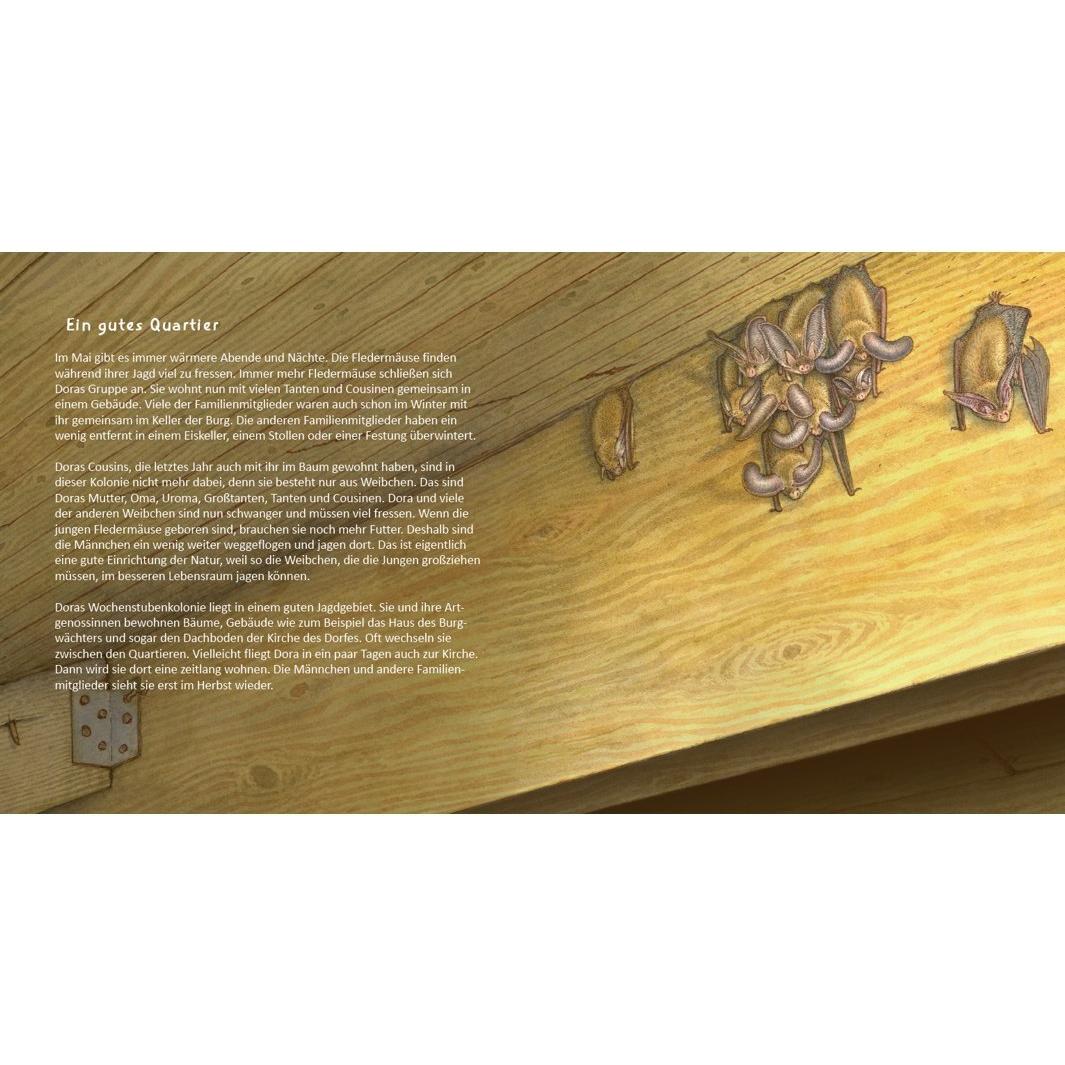 Thumbnail - Dora kopfüber, Kinderbücher von Wolfgang Fiedler