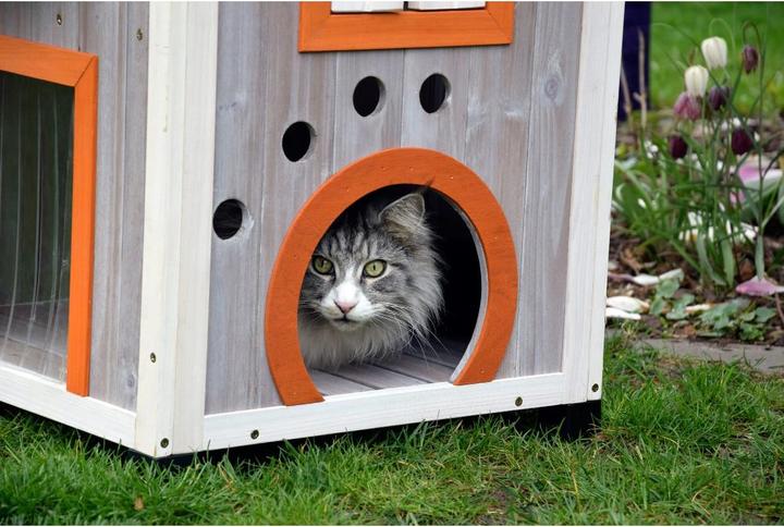 Actual product image Dobar Fancy Cat (Cat)