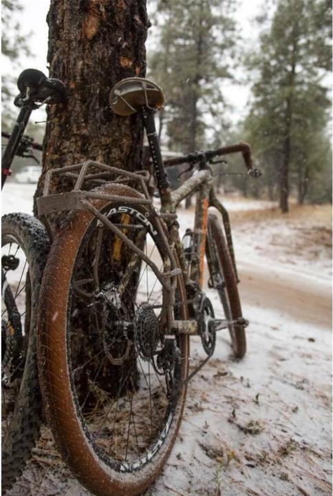 Actual product image Blackburn Outpost Rear Touring carrier