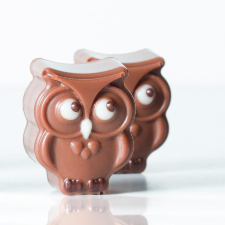 Produktbild Pavoni Pralinenform Eulen