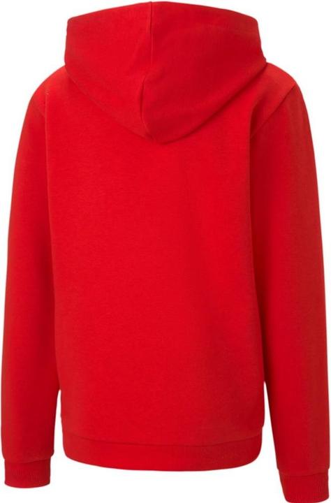 Produktbild Puma TeamGoal 23 Kapuzenpullover Leger (116, 128, 140)