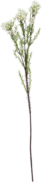 Produktbild Hill Interiors Kunstblume (80 cm)