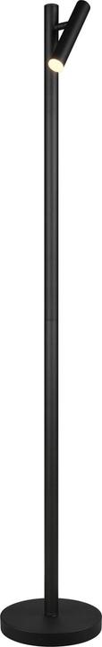 Actual product image Trio LED rechargeable floor lamp 'Gomez' black
