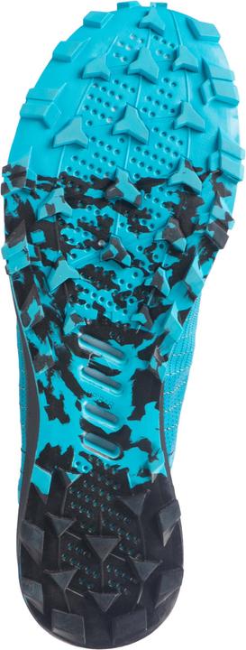 Actual product image Evadict Race Light Trail H (44)